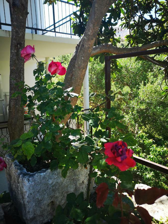 Apartman Sissy Primošten Exteriör bild
